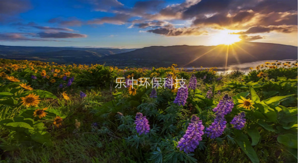 污水處理廠活性污泥法日常管理中，需要監(jiān)測與注意的參數(shù)-樂中環(huán)保