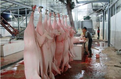 屠宰廢水處理方法有哪些？屠宰廢水處理設(shè)備價(jià)格？-01