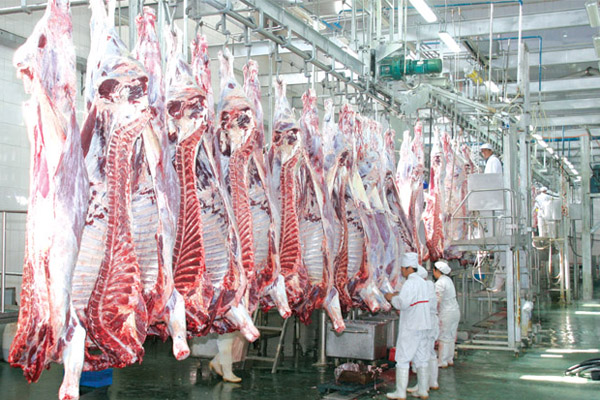 屠宰廢水處理方法有哪些？屠宰廢水處理設(shè)備價(jià)格分享