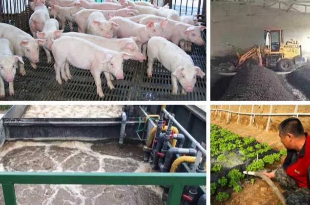 養(yǎng)殖污水處理一體設(shè)備多少錢(qián)？養(yǎng)殖污水處理方法