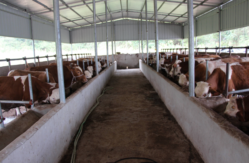 養(yǎng)殖場污水處理方法，養(yǎng)殖污水處理設(shè)備的用途講解02