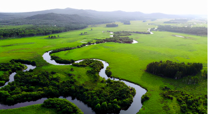 哈爾濱大量污水未經(jīng)處理直排松花江，會(huì)對(duì)當(dāng)?shù)芈糜螛I(yè)帶來(lái)哪些影響