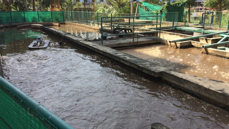 食品加工污水處理流程有哪些？如何更好的處理食品廢水？