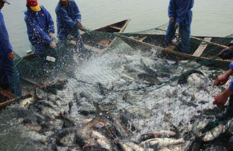 水產(chǎn)養(yǎng)殖污水成分詳細(xì)介紹，一起來學(xué)習(xí)吧