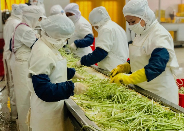 三種食品污水處理設(shè)備工藝流程，看看哪種適合您？