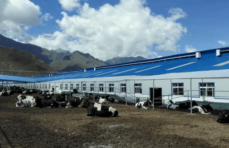 100多頭豬養(yǎng)殖廢水處理方法，用這兩種方法投入低、輕松達(dá)標(biāo)！