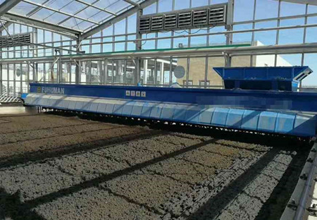 太陽能污泥干化設備是什么，有什么作用？