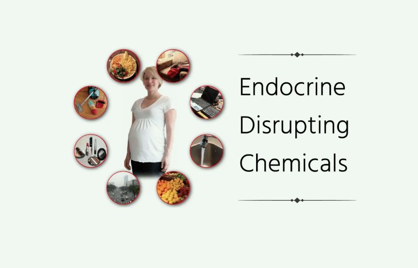 常見(jiàn)的內(nèi)分泌干擾物有哪些（內(nèi)分泌干擾物的危害有）