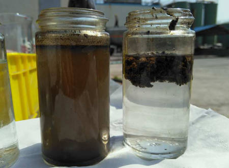 AO工藝出水SS高什么原因|怎么辦？